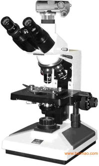探索微觀世界 8CA-D數碼攝影生物顯微鏡及其市場概覽